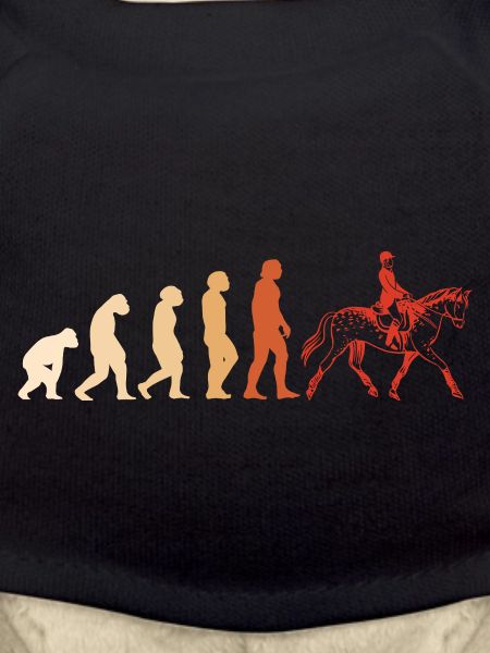 Rider Evolution Dressage