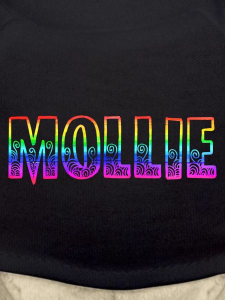 mollie rs rainbow