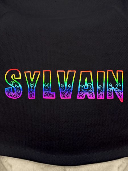 sylvain rs rainbow