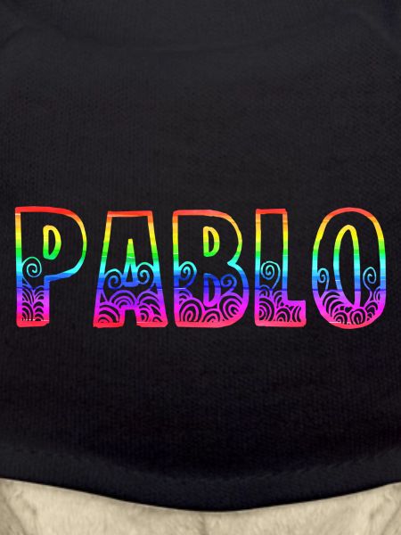 Pablo RS Rainbow