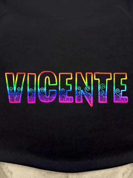 Vicente RS Rainbow