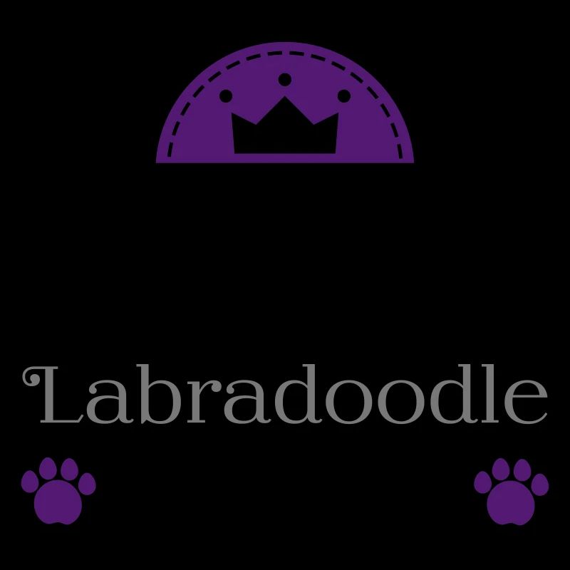 Labradoodle