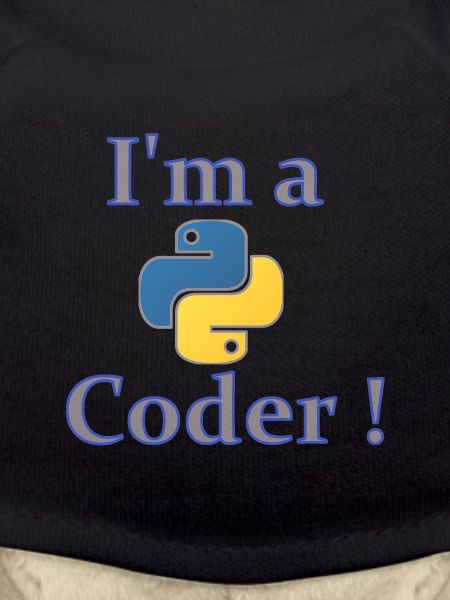 iam python coder
