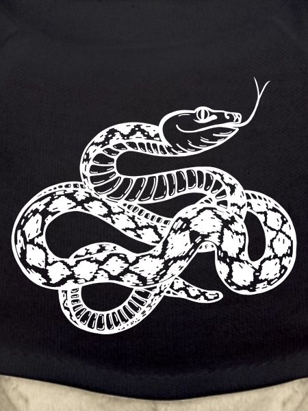 Snake, white