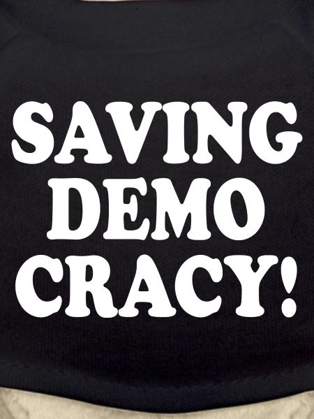 Saving democracy