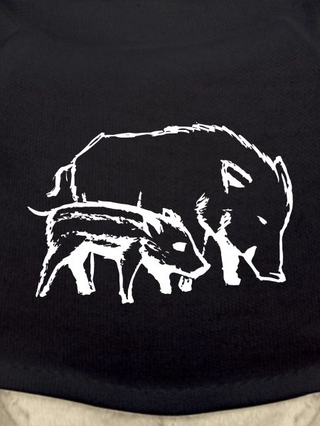 pigs