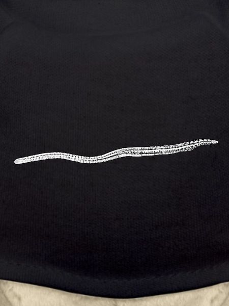 Earthworm