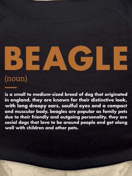 Définition de Beagle