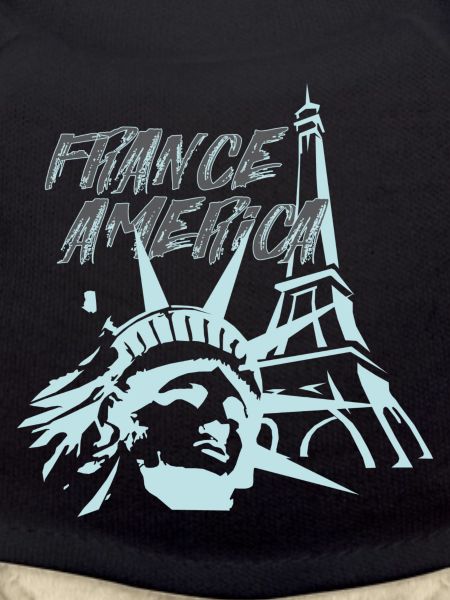 Fusion FranceAmerica