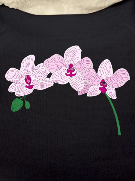 orchidée rose fleur