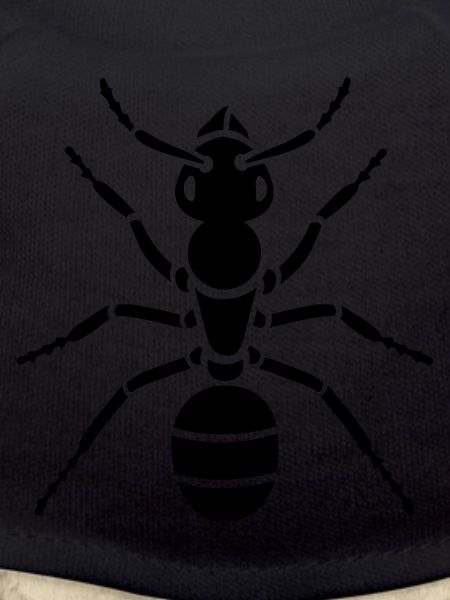 Insect - ant