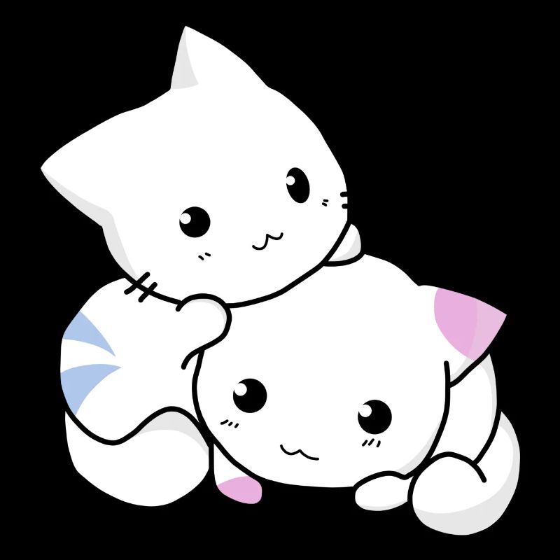 chat, chaton, mignon