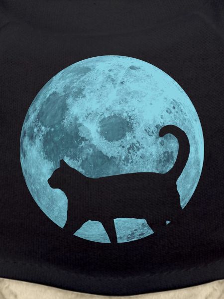 Cat full moon