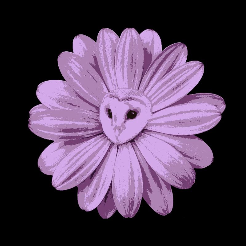 Eulenblume