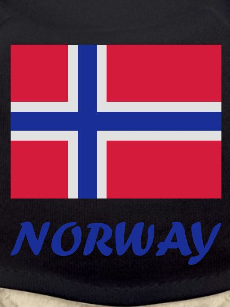 Drapeau norvégien