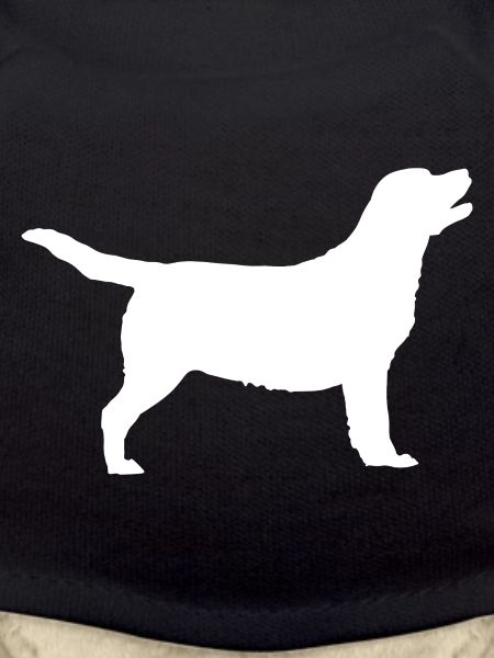 Labrador