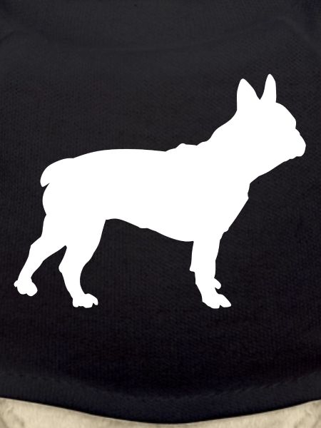 French bulldog