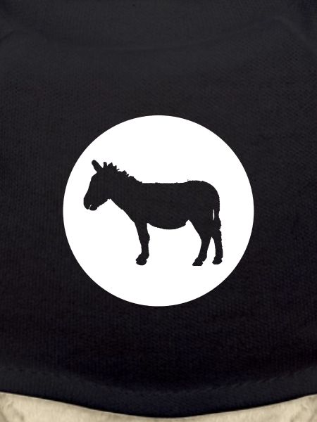 Donkey