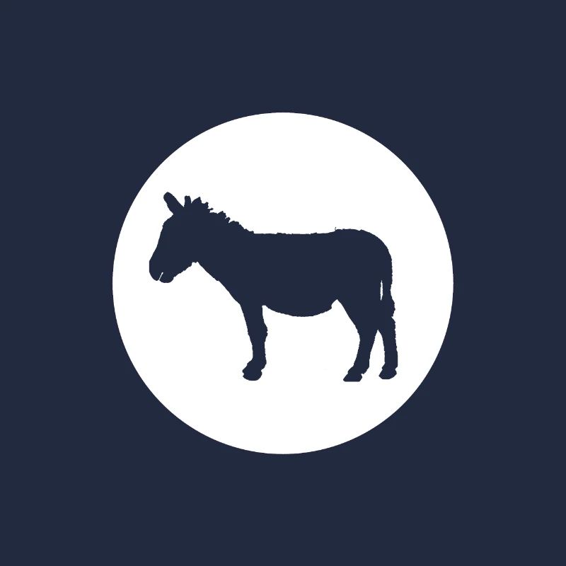 Donkey