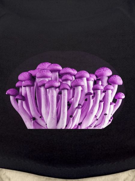 Purple Mushrooms