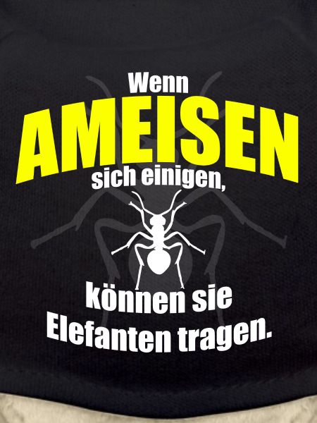 Ant ants
