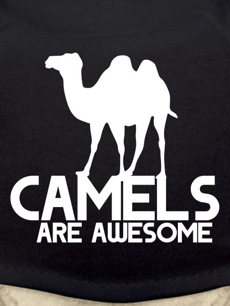 Camels are awesome