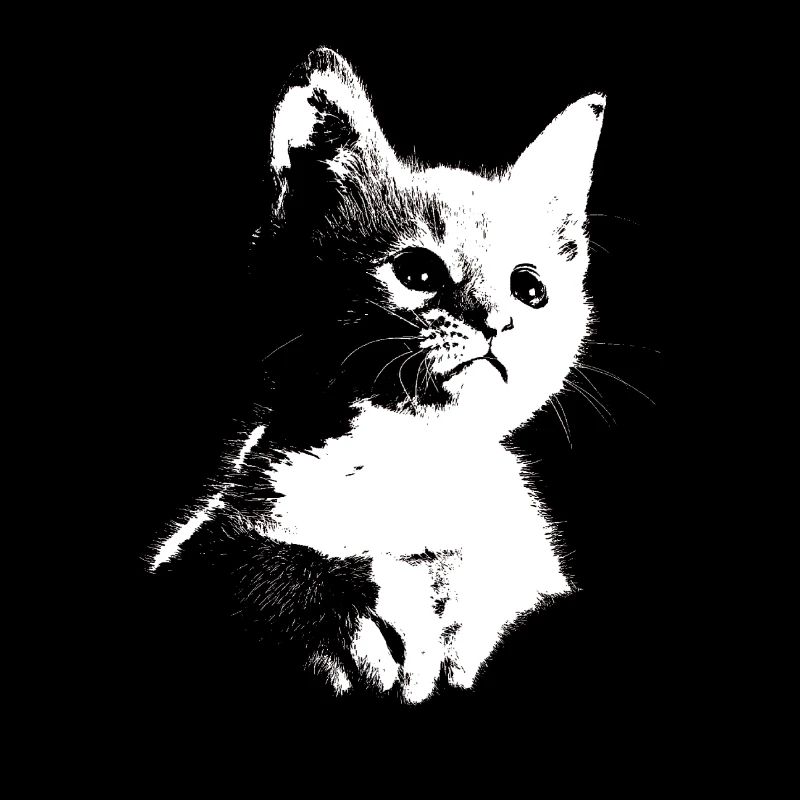Kitten, cat, meow, meow, silhouette