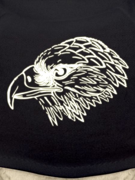 eagle head