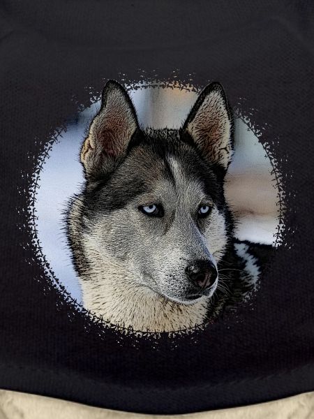 Husky