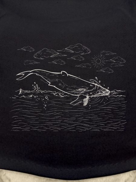 Baleine