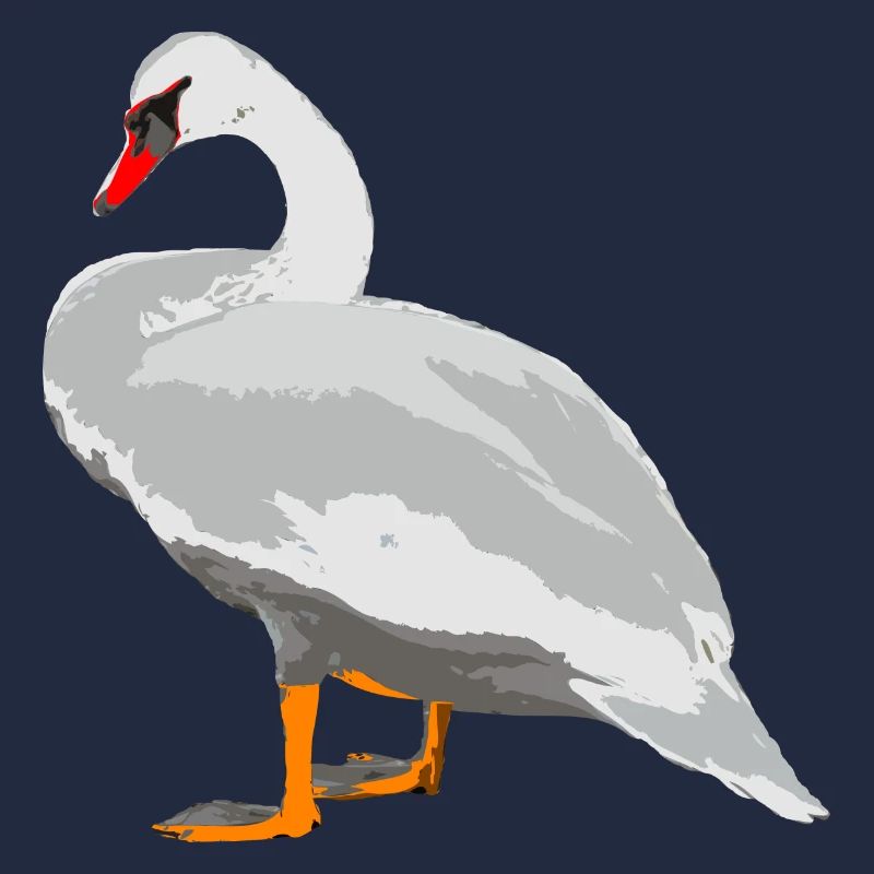 swan
