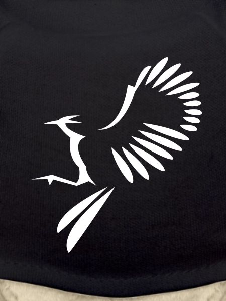 Illustration oiseau
