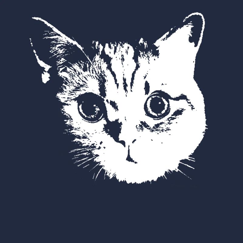 Katze, Katzen
