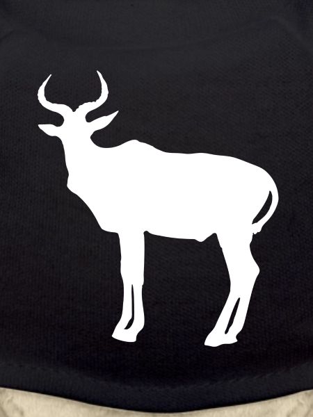 antelope