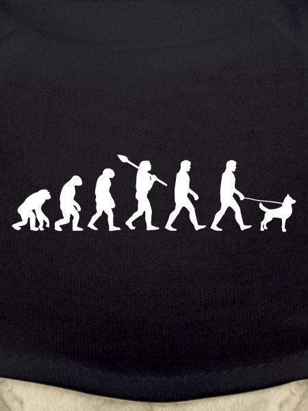 Evolution dog pooch gift
