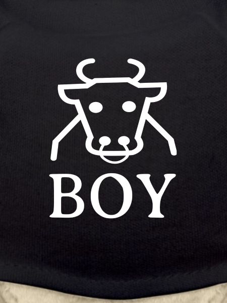 cowboy