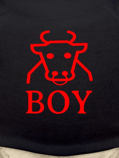cowboy