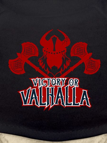 Wikinger. Valhalla. Kämpfer.
