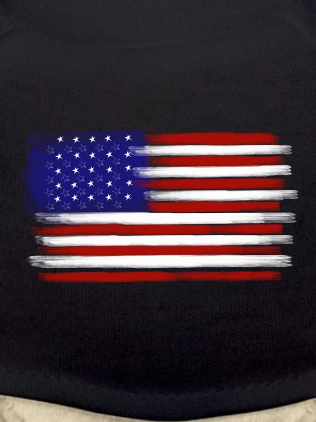 American flag