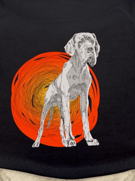 Great Dane