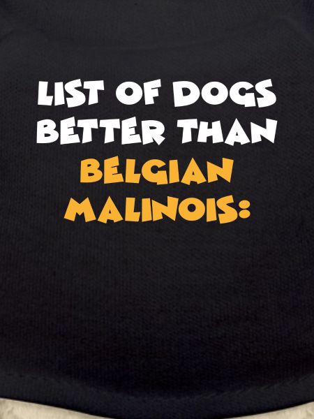 Belgian Malinois