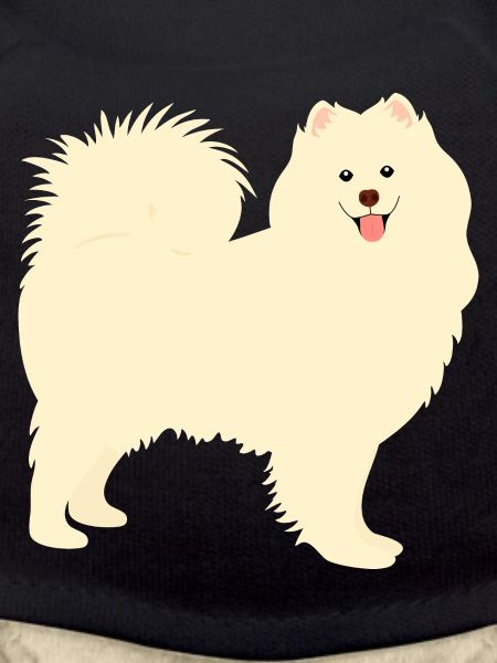 Samoyed Dog