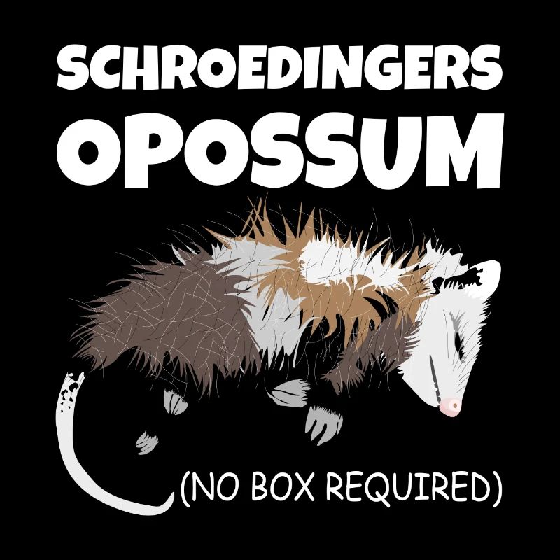 Opossum de Schrödinger (chat de Schrödinger) sans boîte