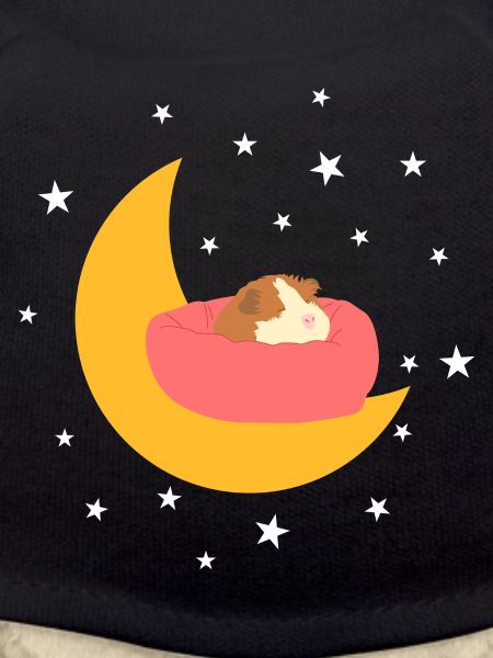 Sleeping Guinea Pig