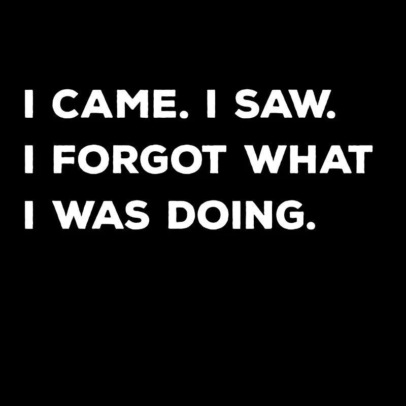 I came I saw I forgot what I was doing