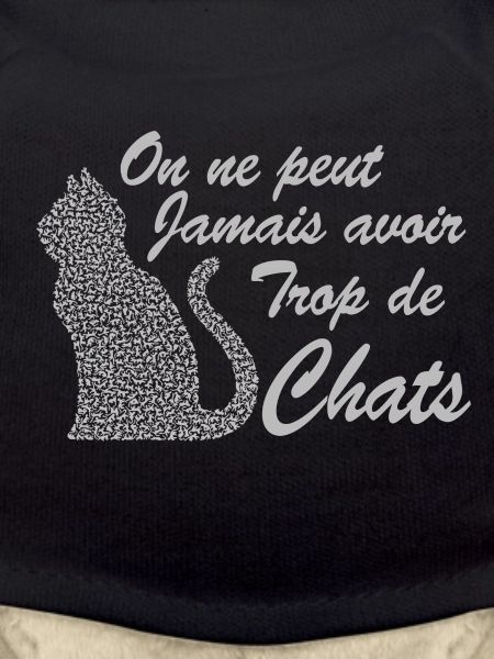 Humour chat