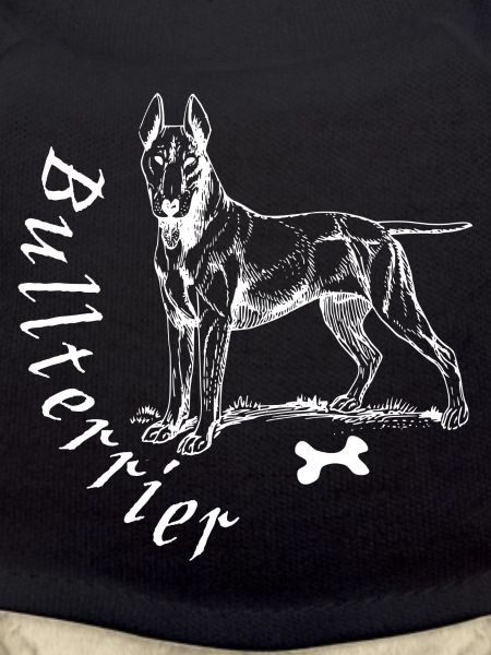 bull terrier