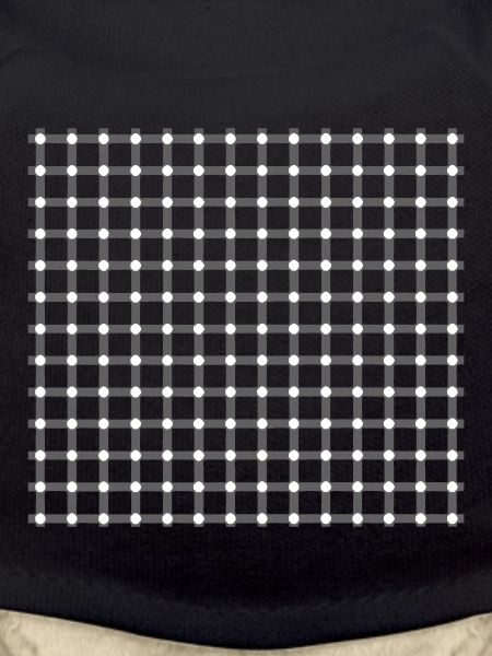 OPTICAL ILLUSION