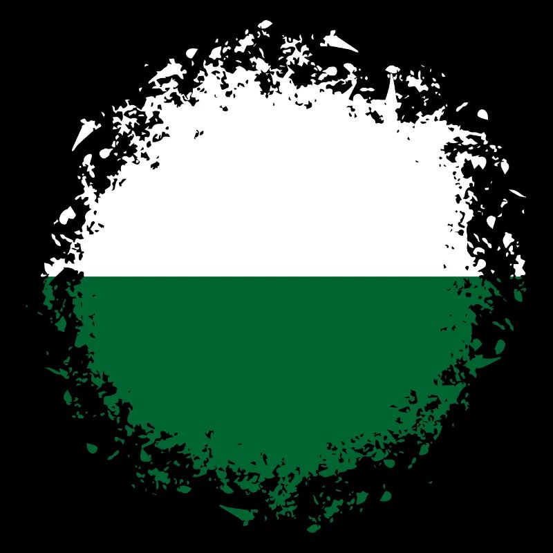 Saxe drapeau Drapeau Saxon Ossi Vacances SN