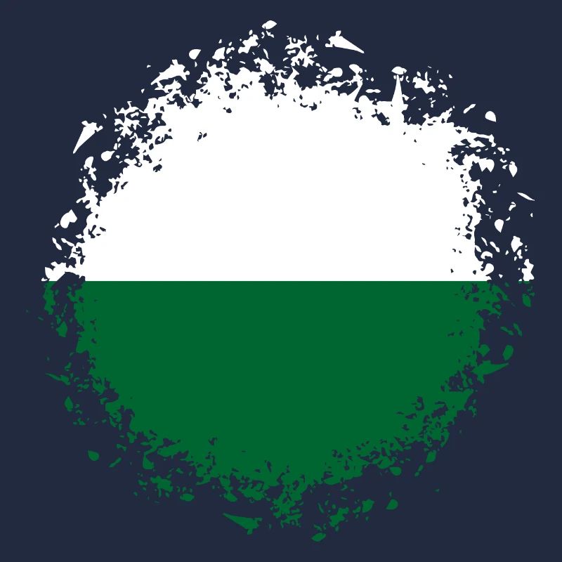 Saxe drapeau Drapeau Saxon Ossi Vacances SN